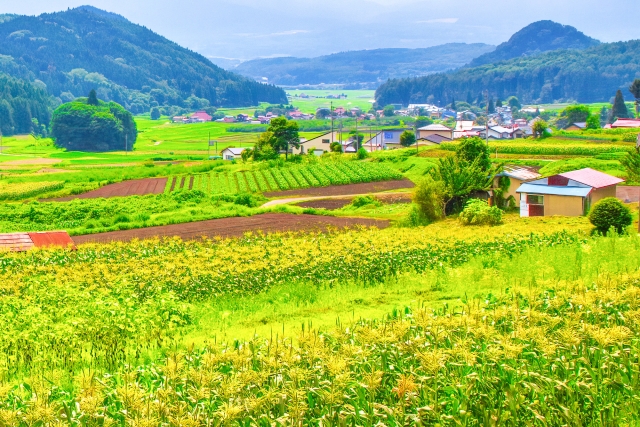 遠方に住む母の相続でご相談です。母は兄弟と共有名義で土地を持っていたのですが、共有解消したいです。